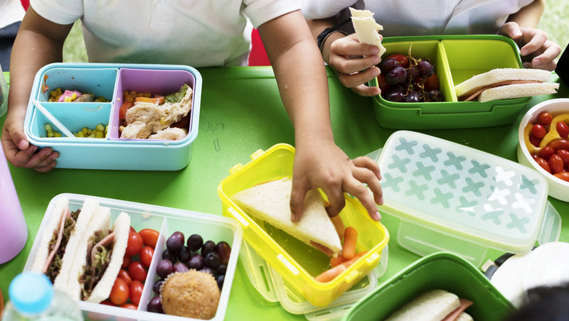 Top Lunch Box Brands: Discover the Perfect Fit for Your Child