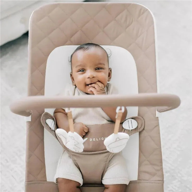 Baby Delight - Alpine Deluxe Portable Bouncer, 0-6 months, Organic Mocha Image 3