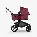 Bugaboo - Kangaroo Complete Stroller, Black/Dark Cherry Image 3