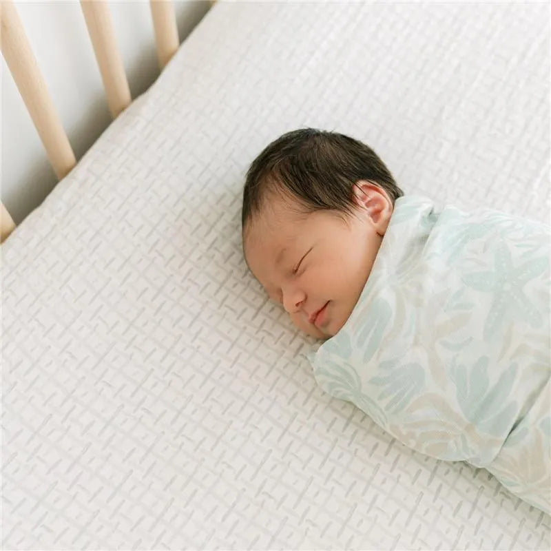 Crane Bedding - Cove Fited Crib Sheet, Hashtag Image 3