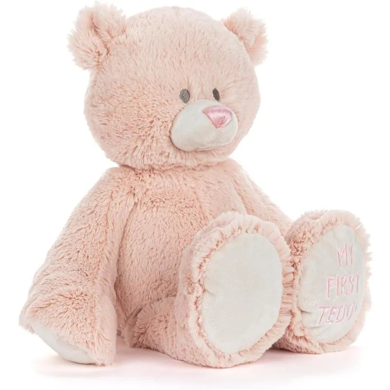 Demdaco - My First Teddy Bear 16, Pink Image 3