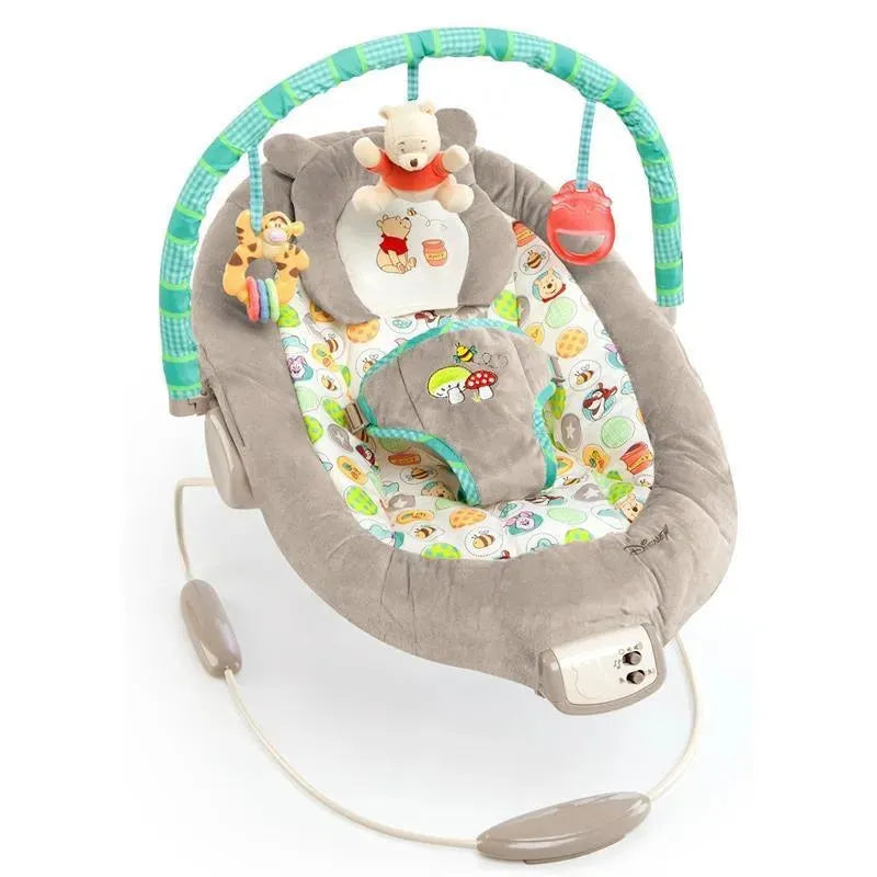 Disney Baby Winnie The Pooh Bouncer, Dots & Hunny Pots Image 1