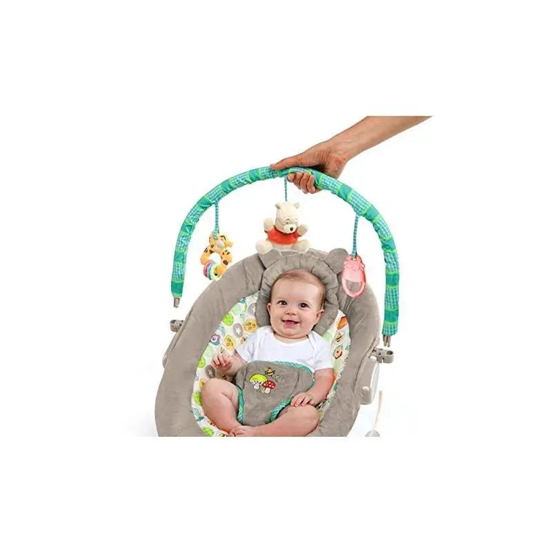 Disney Baby Winnie The Pooh Bouncer, Dots & Hunny Pots Image 3