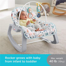 Fisher-Price Infant-to-Toddler Rocker, Pebbles Image 3