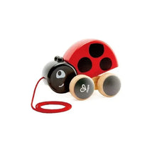 Hape - Ladybug Pull Along Image 2