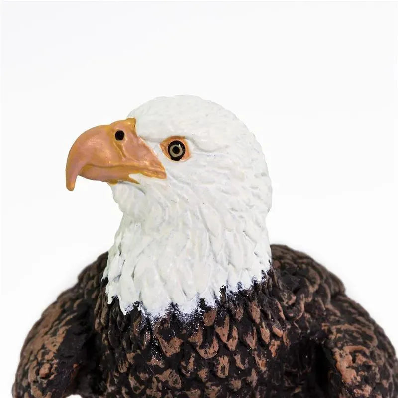 Safari Ltd. - Bald Eagle Figurine Image 5