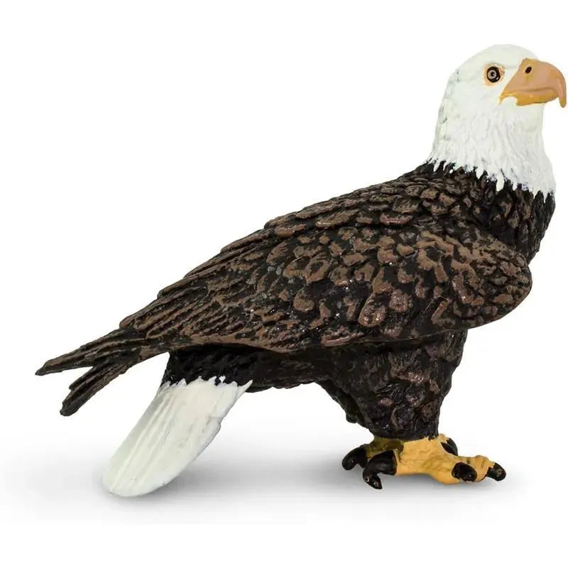 Safari Ltd. - Bald Eagle Figurine Image 6