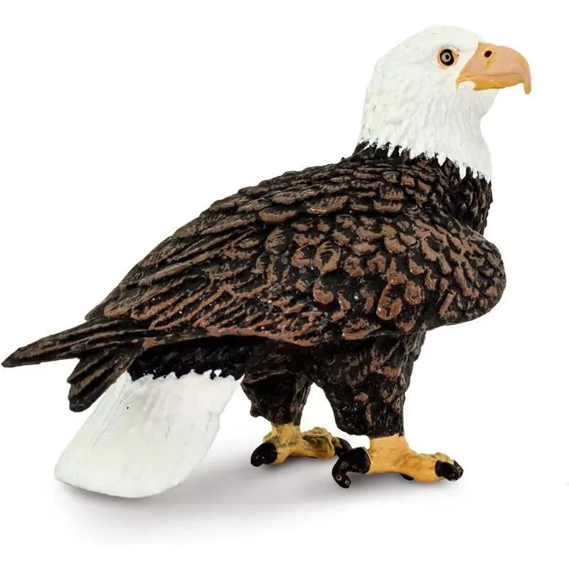 Safari Ltd. - Bald Eagle Figurine Image 7