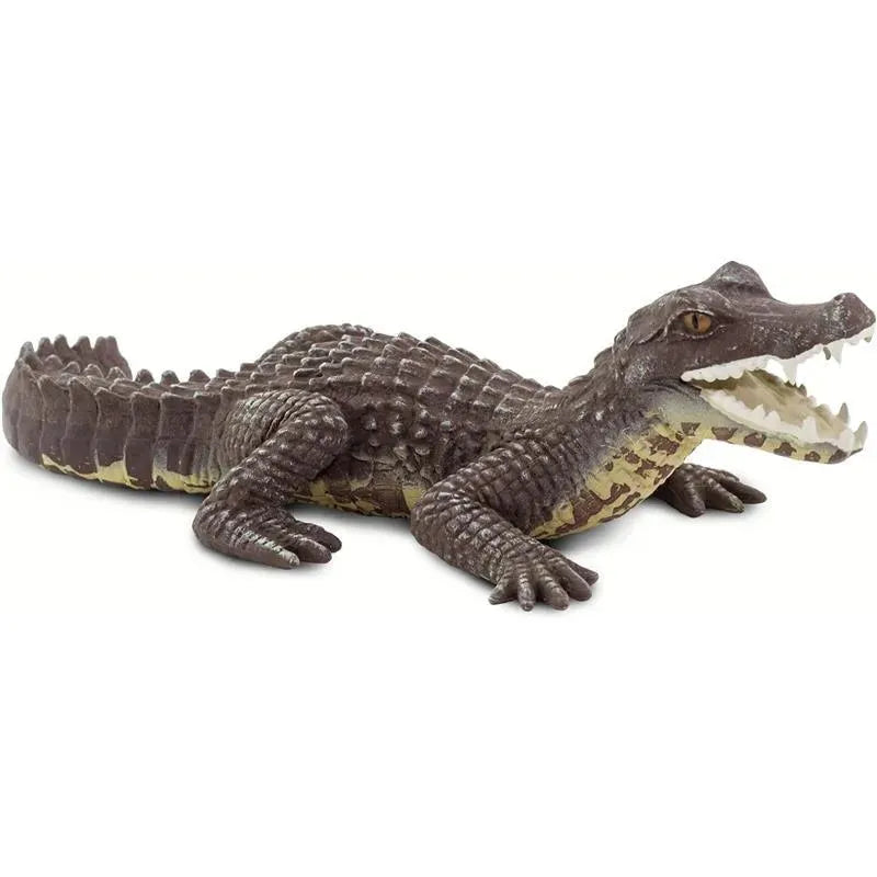 Safari Ltd. - Caiman Figurine, Realistic 5 Reptile Figure Image 4