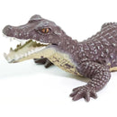 Safari Ltd. - Caiman Figurine, Realistic 5 Reptile Figure Image 6