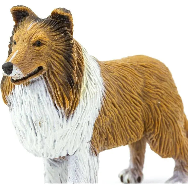 Safari Ltd. - Collie Figurine, Lifelike 4 Dog Figure Image 4