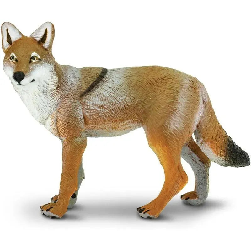 Safari Ltd. - Coyote Figurine, Lifelike 3.75 Figure Image 1