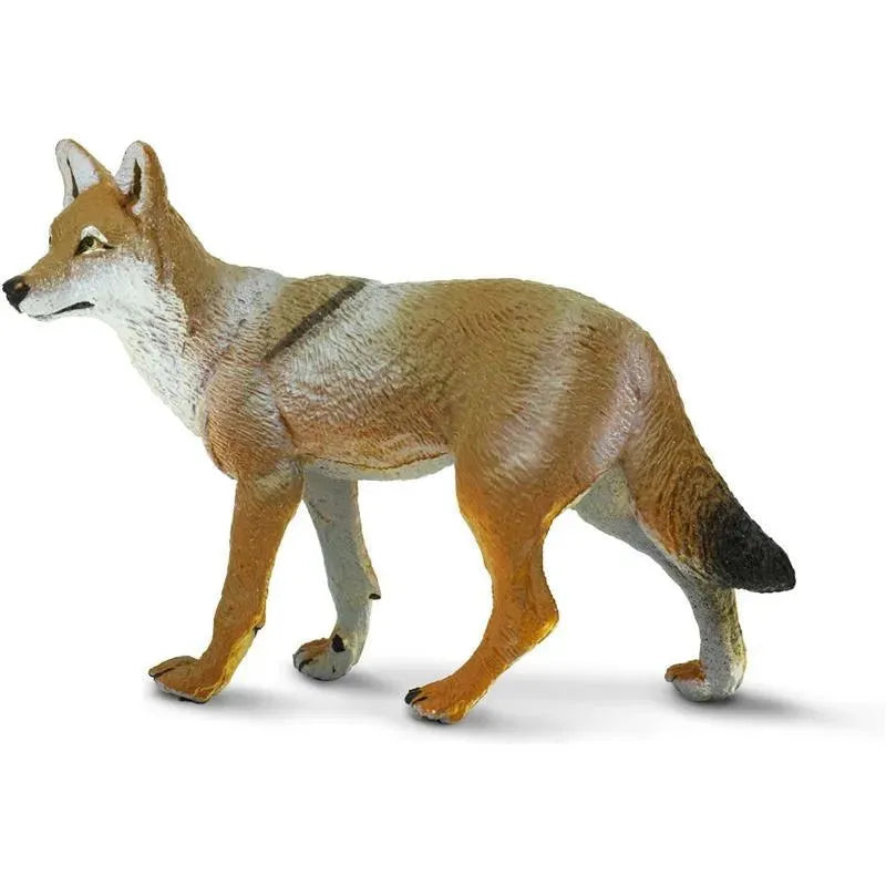 Safari Ltd. - Coyote Figurine, Lifelike 3.75 Figure Image 3