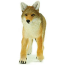 Safari Ltd. - Coyote Toy Figurine, Detailed 6.5 Figure Image 5