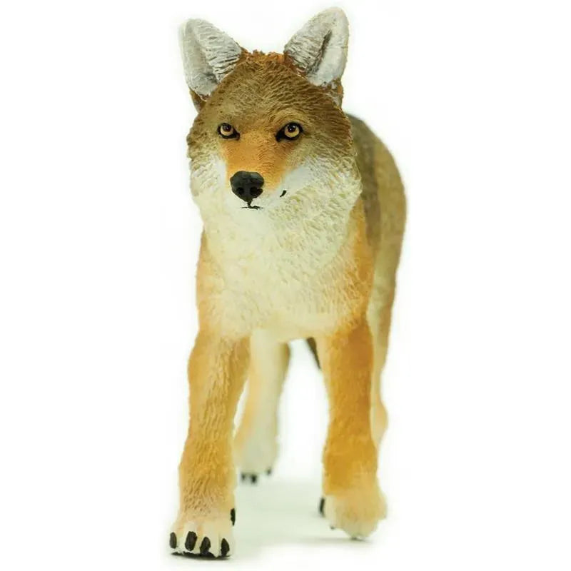 Safari Ltd. - Coyote Toy Figurine, Detailed 6.5 Figure Image 5