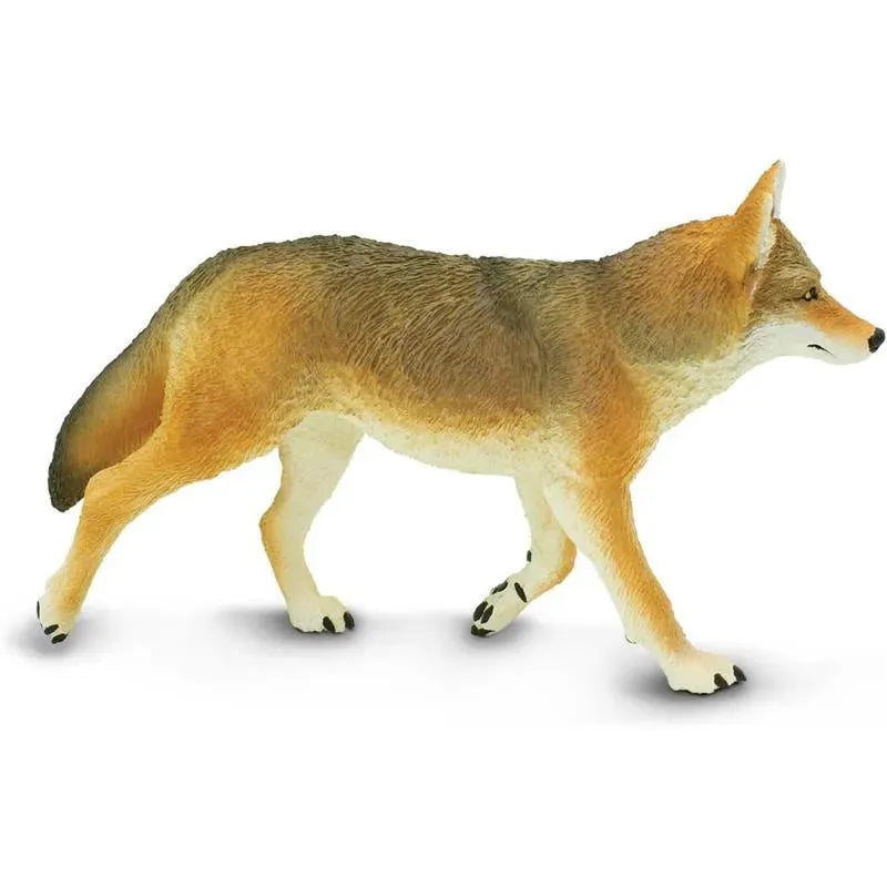 Safari Ltd. - Coyote Toy Figurine, Detailed 6.5 Figure Image 6