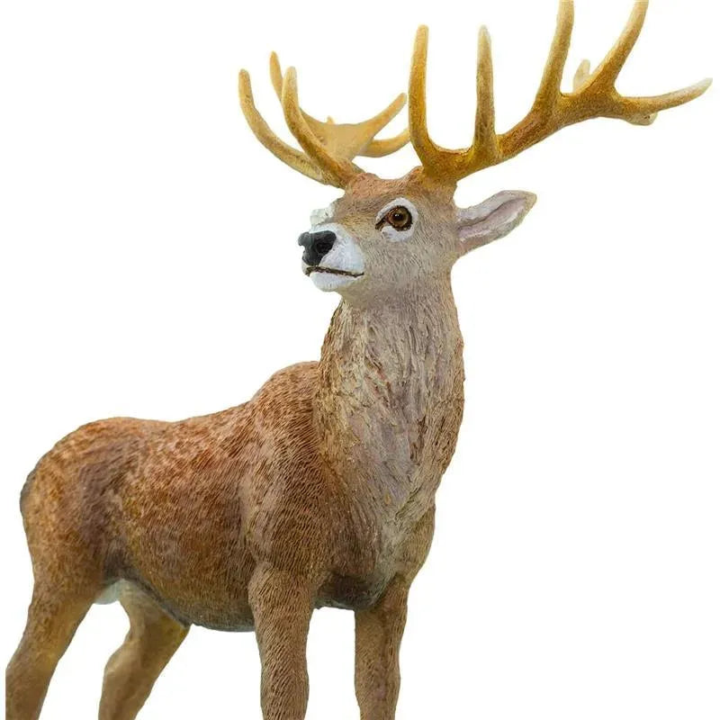 Safari Ltd. - Red Deer Stag Figurine, Detailed 4.75 Figure Image 3