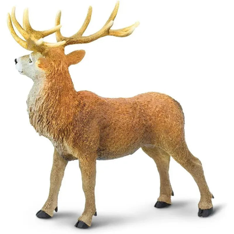 Safari Ltd. - Red Deer Stag Figurine, Detailed 4.75 Figure Image 4