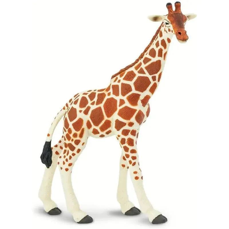 Safari Ltd. - Reticulated Giraffe Figurine, Lifelike 7 Model Figure Image 4