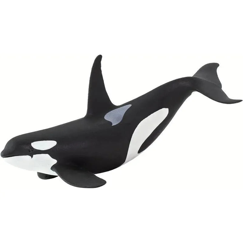 Safari Ltd. - Wild Safari Sea Life Orca Figurine Image 2