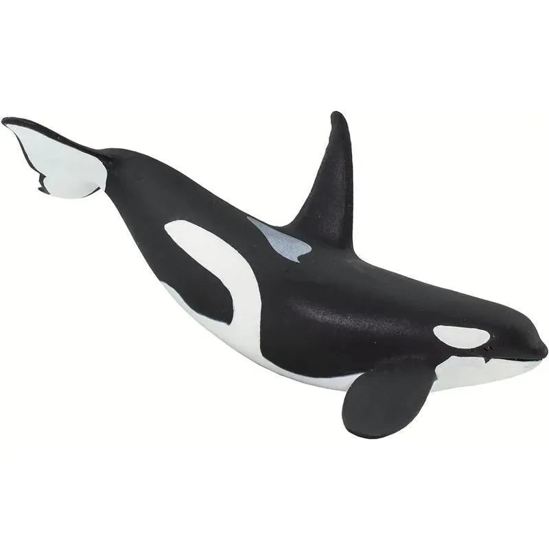 Safari Ltd. - Wild Safari Sea Life Orca Figurine Image 5