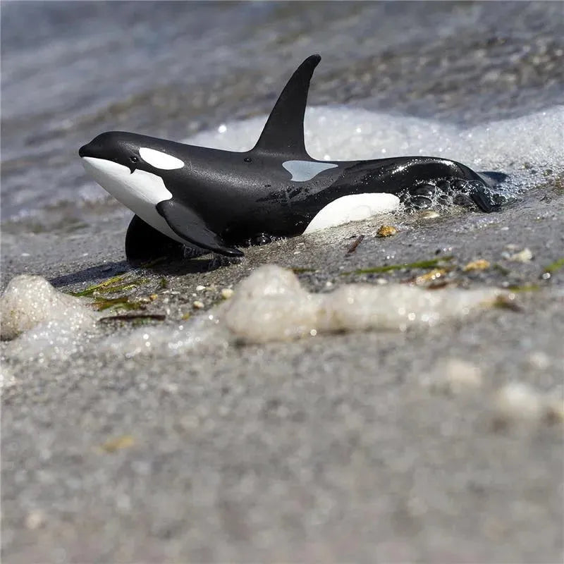 Safari Ltd. - Wild Safari Sea Life Orca Figurine Image 8