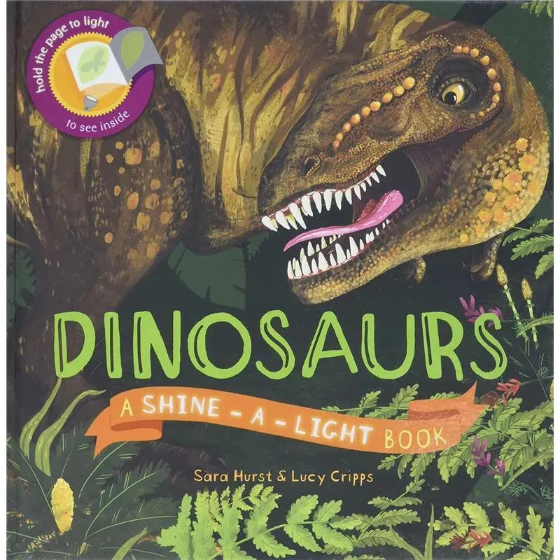 Sandy Ruben - Book, Dinosaurs (Shine-A-Light) Image 1