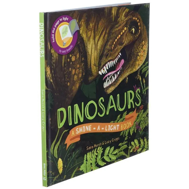 Sandy Ruben - Book, Dinosaurs (Shine-A-Light) Image 4